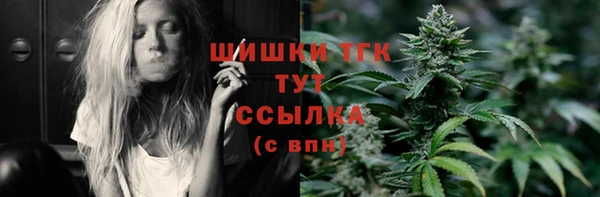 индика Балабаново