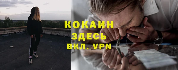 индика Балабаново