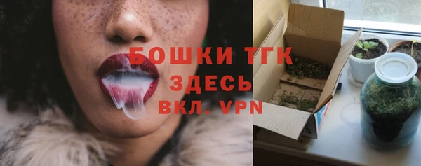 индика Балабаново