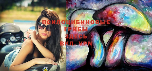 индика Балабаново