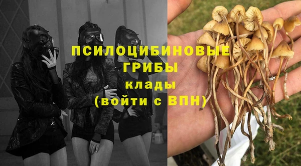 амф Балахна