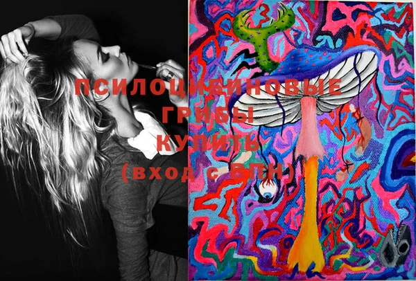 индика Балабаново